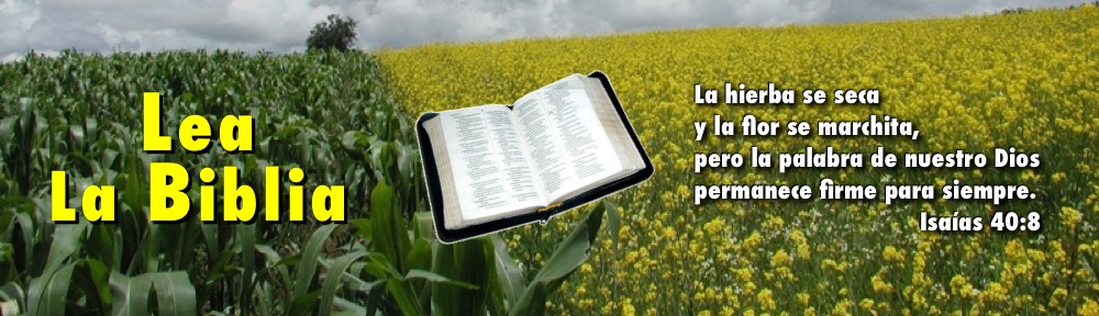 Biblia en campo de flores